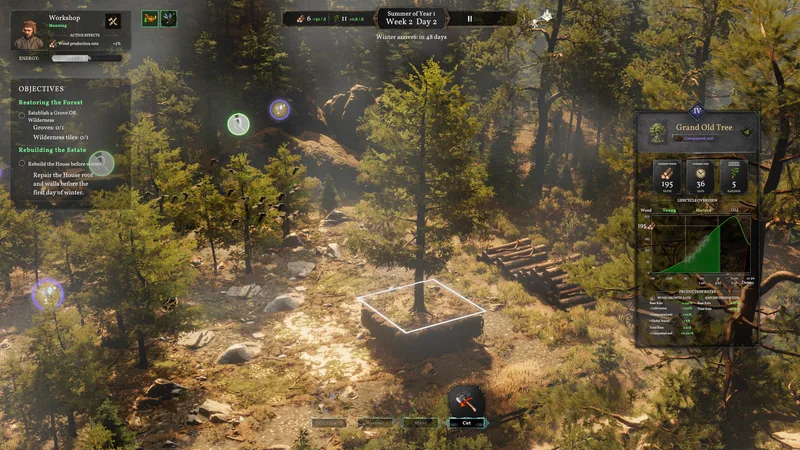 Grand Old Tree Management — Forester gameplay